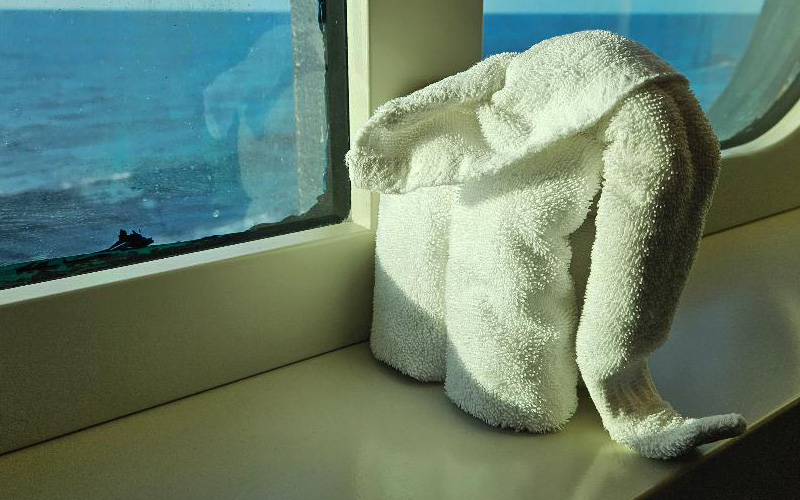 towel