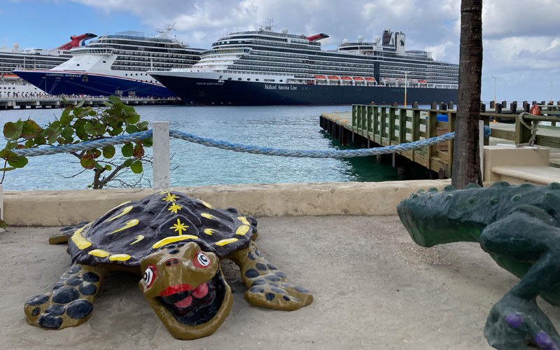 turtle
