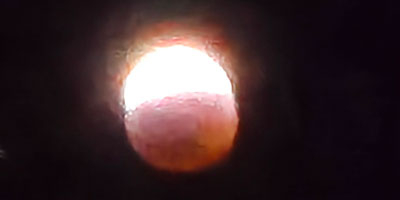 bloodmoon