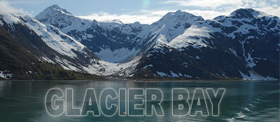 glacier bay label